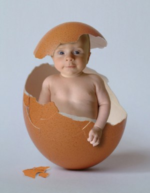 Baby breaking free of egg shell