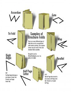 Brochure Design Folds